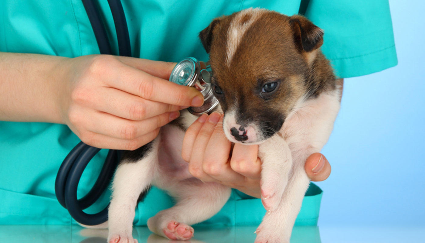 Vor dem Abflug und am Abflugtag Vor dem Abflug und am Abflugtag
