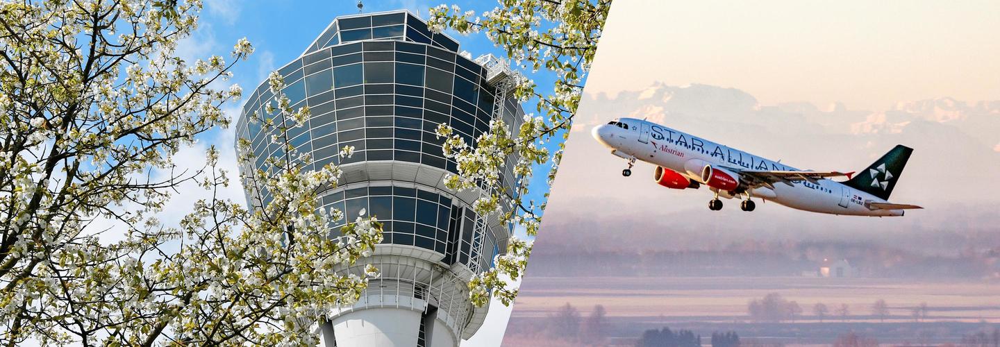 Spring 2019 Spring 2019