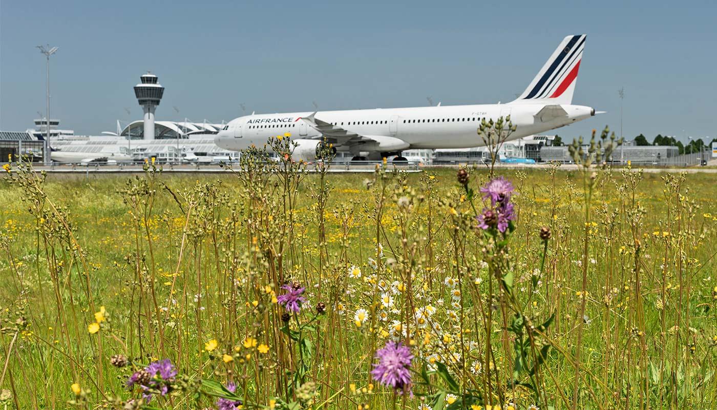 Learn more Learn more