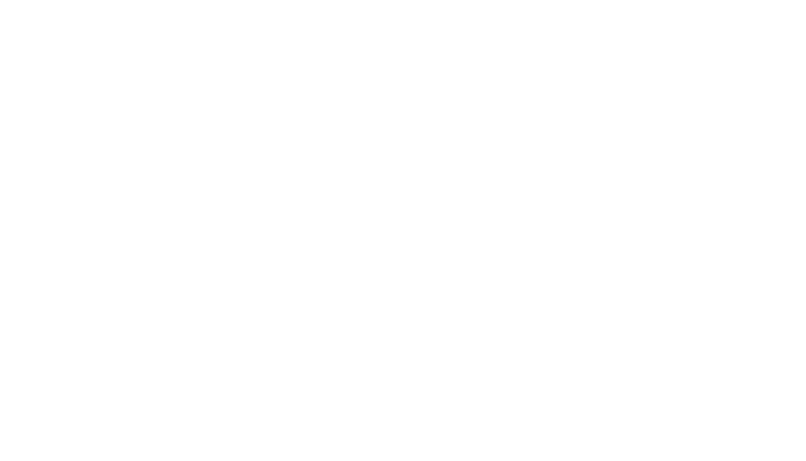 Travellers Insight Travellers Insight Logo