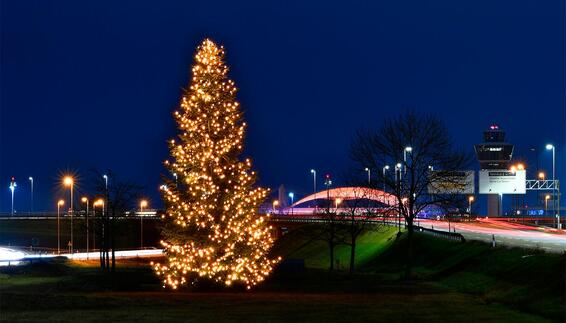 Der Münchner Airport in weihnachtlichem Glanz: Christbaum an der Zentralallee