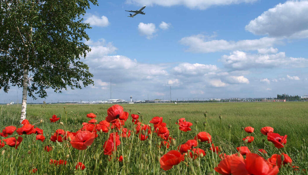 Advanced airports Munich Airport International