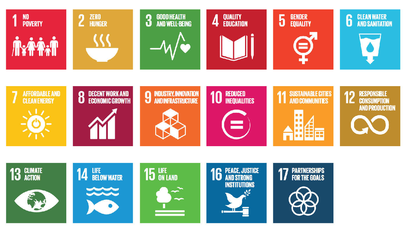 Sustainable Development Goals Sustainable Development Goals