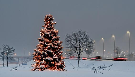 Weihnachtsbaum in der Zentralallee