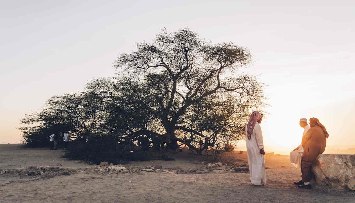 Baum des Lebens Shajarat-al-Hayat Baum des Lebens Shajarat-al-Hayat