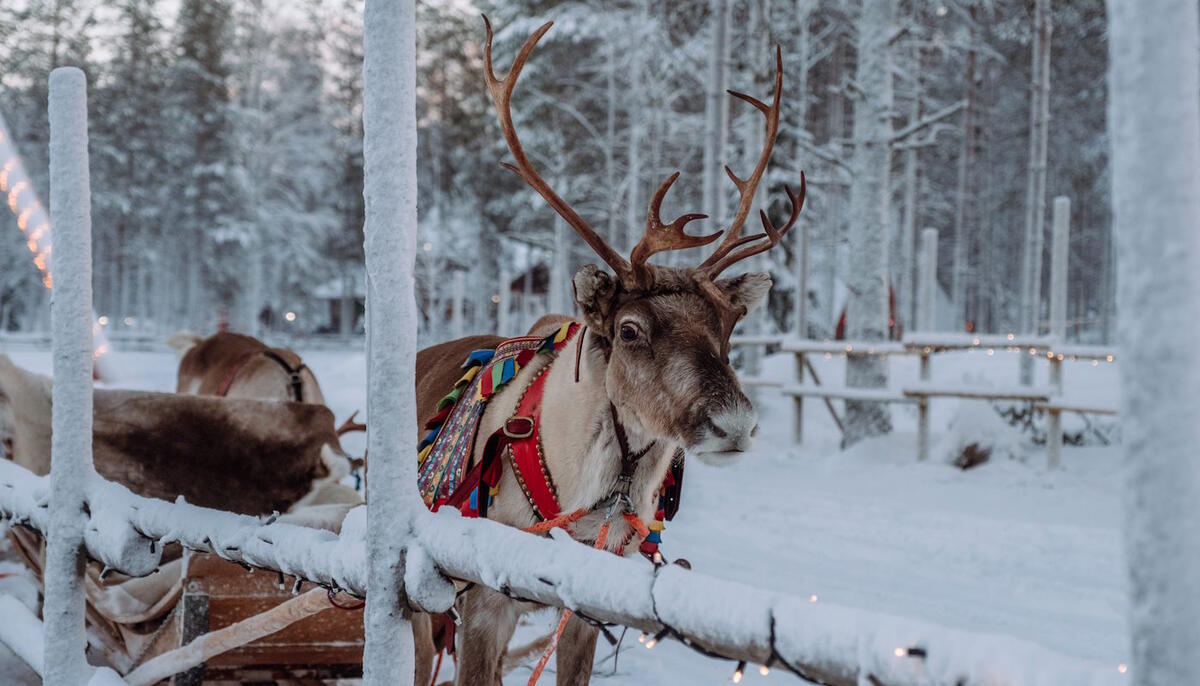 Jetzt ansehen Jetzt ansehen