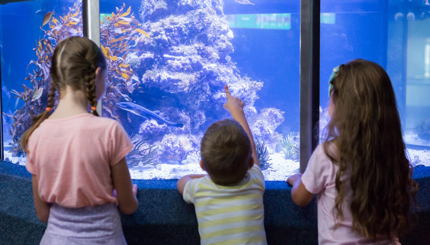 Sea Life Munich Sea Life Munich