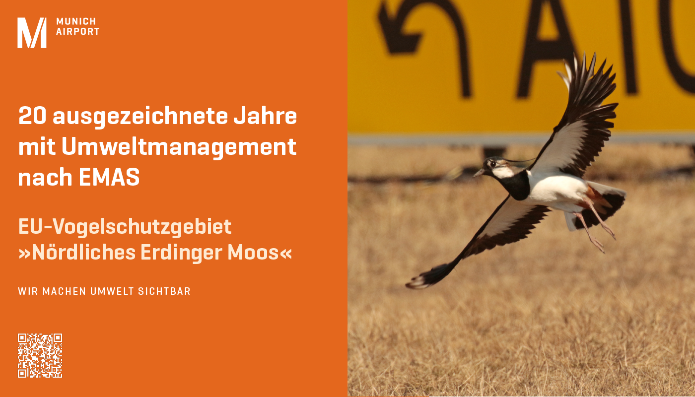 Vogelschutz am Flughafen München Vogelschutz am Flughafen München