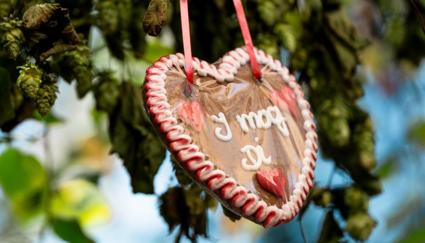 Gingerbread heart “I mog Di”. Gingerbread heart with a white and red border hanging against a green background, featuring the inscription “I mog Di”.